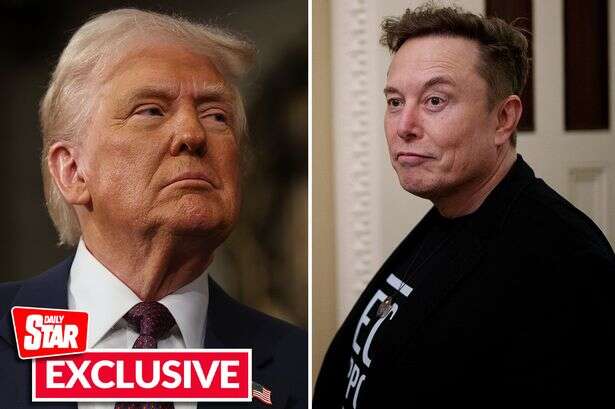 Donald Trump's 'two-faced' star sign will clash with 'over-sensitive' Elon Musk