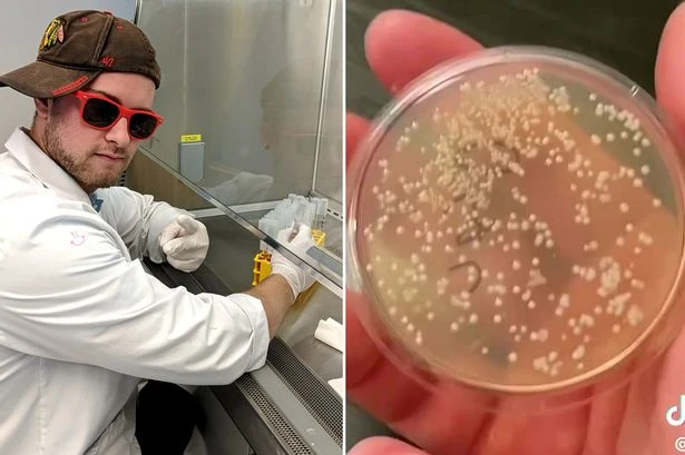 Boffin's verdict on 'five second rule’ after seeing just how dirty dropped food gets