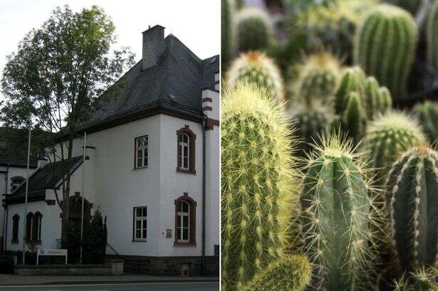 Germans have banned all cactus in case they interfere with Government business