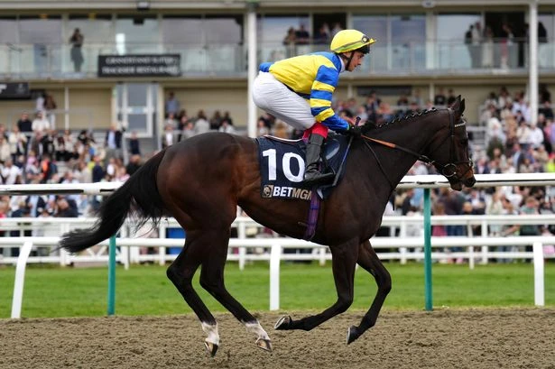 'Young rider can win again on his favourite filly' – Jason Heavey's racing tips