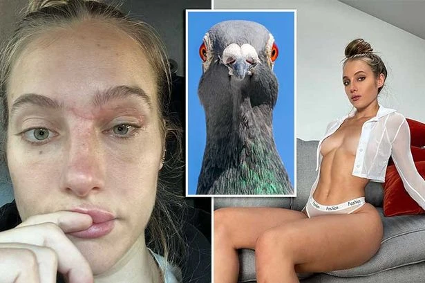 Motorbike-riding model bled out in the road after pigeon attacked her - but dad saved her life