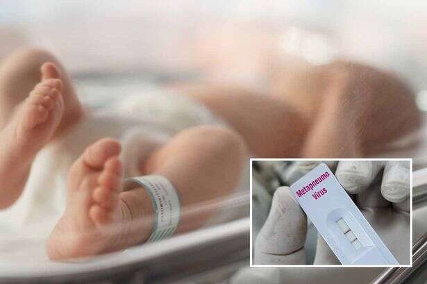 Who is most at risk of 'Chinese' HMPV virus as eight-month-old baby tests positive