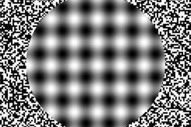 Mind-boggling optical illusion makes you see fuzzy dots when you move in closer