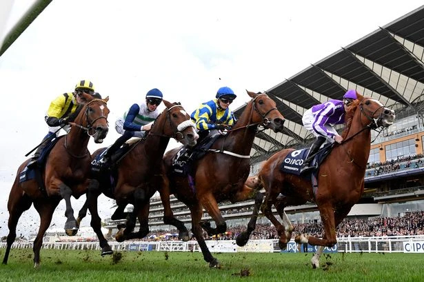 Jason Heavey's horse racing tips: Top bet on Friday to improve on very good second
