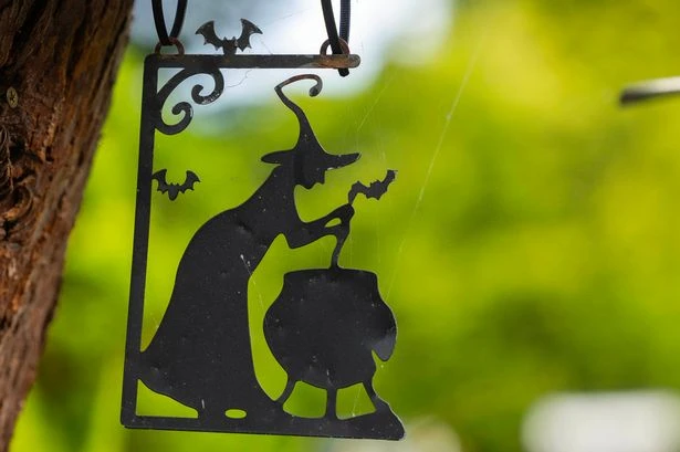 Witchcraft booming because politicians keep bleating on about ‘witch-hunts’, boffins say