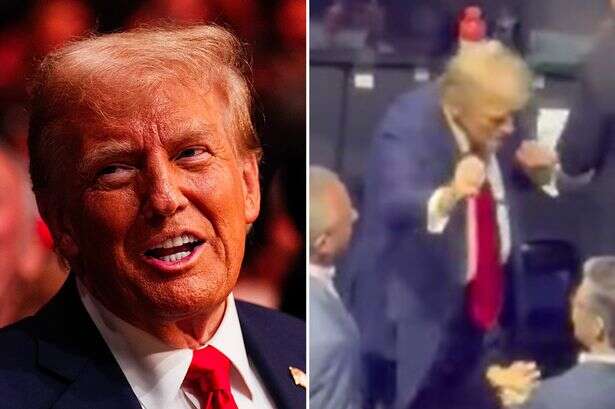 Donald Trump spotted dancing and 'dabbing up' WWE legend Triple H at UFC 309