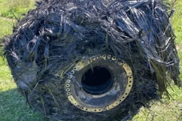 Mystery as 'hairy' object plunges from the sky and lands on farm leaving boffins stumped