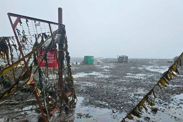 Panic as US and Japan evacuate coastal areas following tsunami alert from 8.8 Russia quake