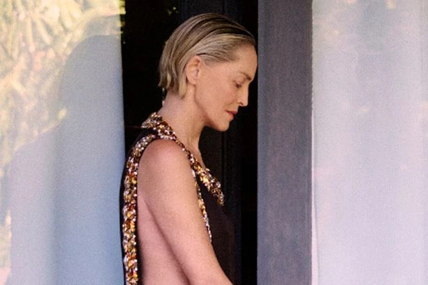 Sharon Stone exposes every curve as robe falls open in sizzling new snaps