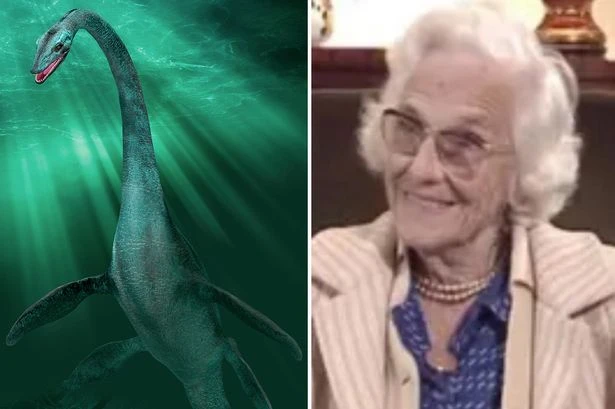 Loch Ness Monster mystery sparked by couple who watched whale-like beast frolic in depths