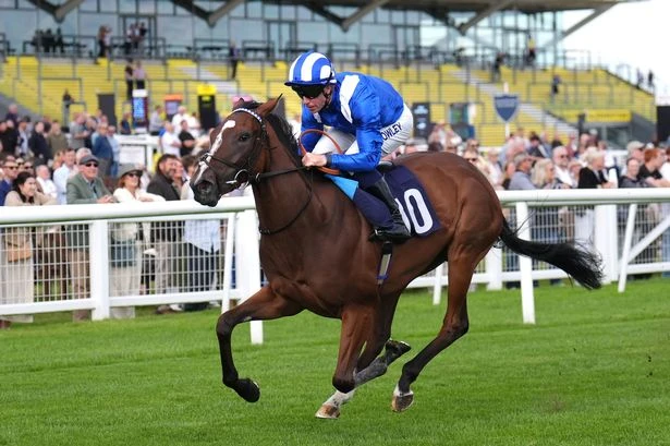'I tipped 16-1 Kerry National winner – and fancy 66-1 shot on Friday' – Jason Heavey's racing tips