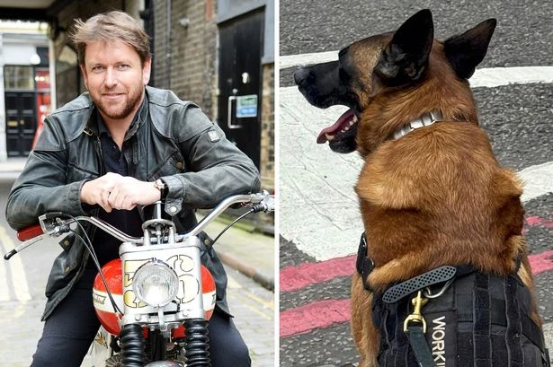 James Martin goes to London with guard dog after he was attacked in capital