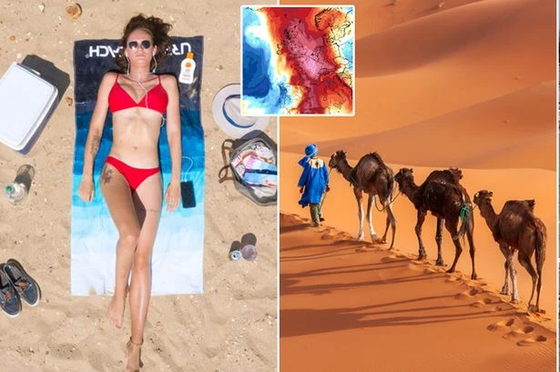 Britain to be hotter than Africa as two-week blast sends temperatures soaring to 30C