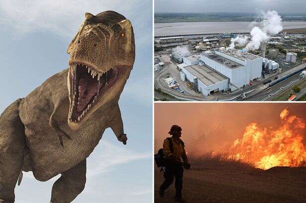 Dinosaurs 'could return' as experts warn of new danger of climate change