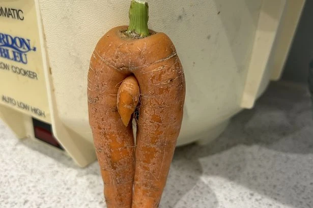 Too many carrots triggers embarrassing condition that make blokes a flop in bed