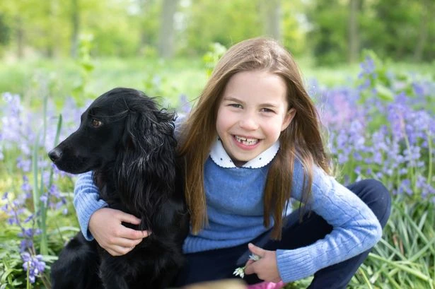 William and Kate's favourite dog has replaced the French bulldog as the nation’s top pooch