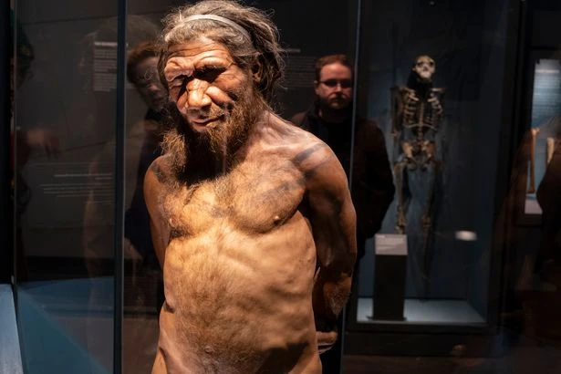 Early humans and Neanderthals lived together in the same caves and traded ideas