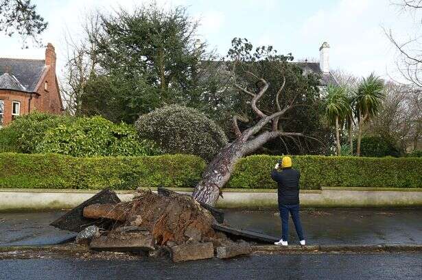 Killer storm of the century Eowyn smashes Britain with 'tornado'-style warning for South