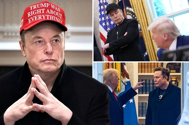 Musk slams Trump's 'porky pig party' as war breaks out again with threat to set up rival
