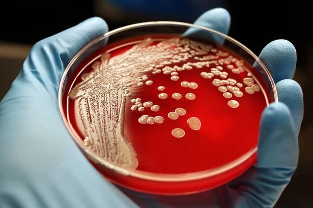 AI-designed antibiotics could kill drug-resistant superbugs such as gonorrhoea and MRSA