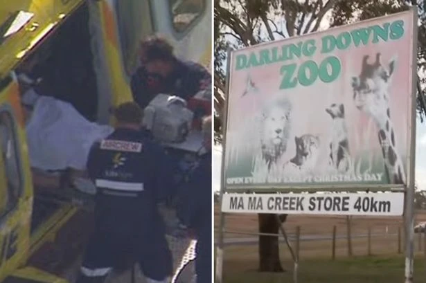 Woman loses arm after being 'mauled' by lion in horror zoo enclosure attack