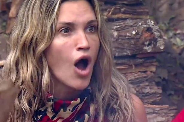 I'm A Celeb star Ashley Roberts defends David Haye after exit