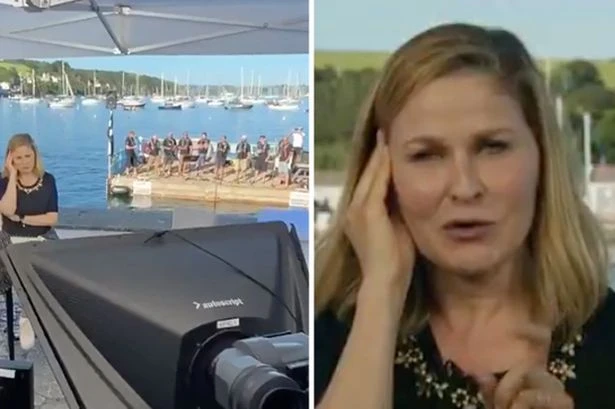 Reporter drowned out by barge of Cornish singers belting sea shanties on live TV