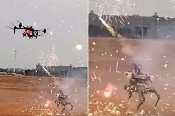 Drone and armed robodog fight to 'death' in chilling look at 'first ever machine war'