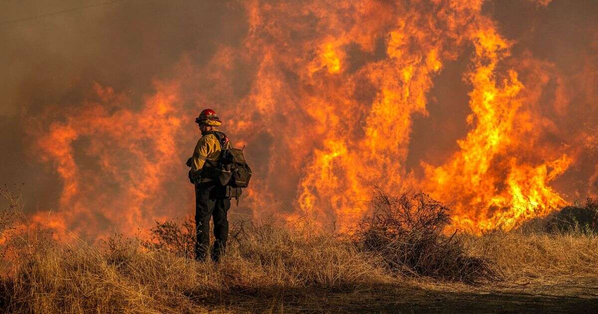 LA police arrest brazen burglar dressed up as firefighter looting home hit by wildfire horror