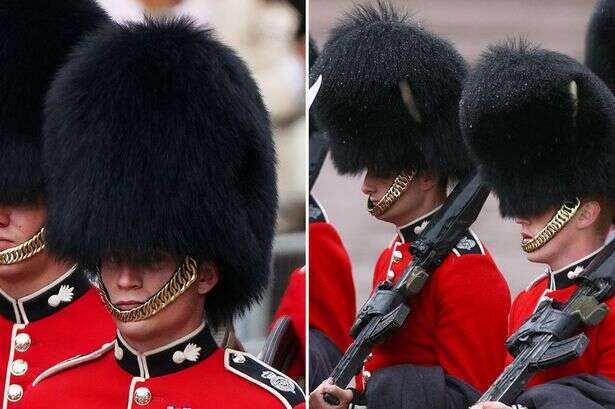 Bearskin caps worn by soldiers outside Buckingham Palace now cost a pretty penny