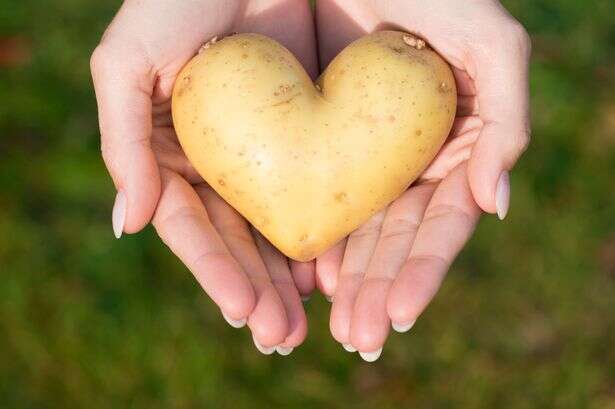 Potato lovers can now smell like one with spud perfume that has 'luxury scent'