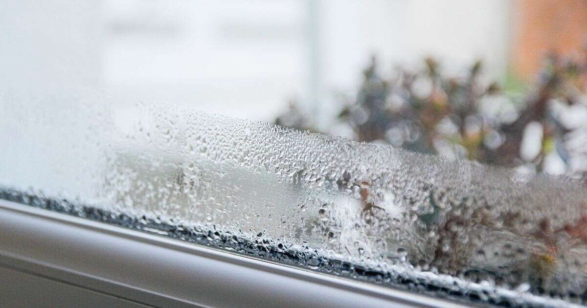 Easy 10-minute hack eliminates condensation from your windows – and it's free