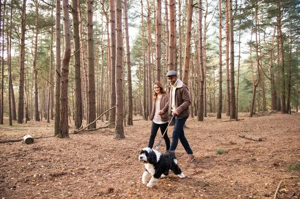 Psychologist reveals 10 'hacks' to beat the winter blues ahead of clocks going back