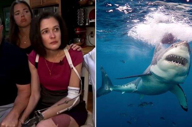 Mum describes moment she saw 'dark mass' in water before shark 'snapped her hand off'