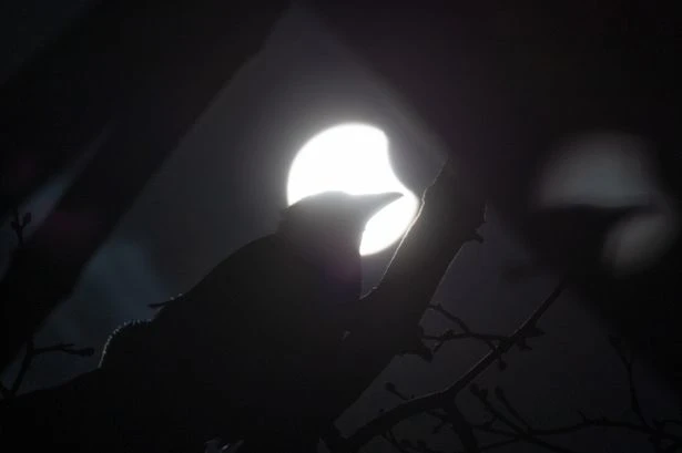 Longest-ever solar eclipse is coming – here's when and where you can see it