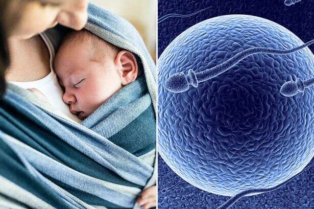 'Holy grail' of fertility research could allow for baby to be made by just one person