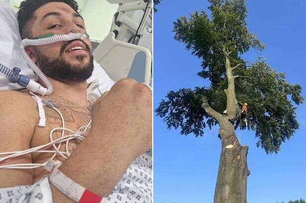 Tree surgeon, 25, 'lucky to be alive' after 80ft tree fell on him in back-breaking horror