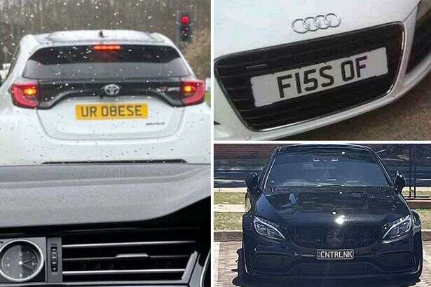 World's most rude and odd personalised number plates – 'rest in peace' to 'ur obese'