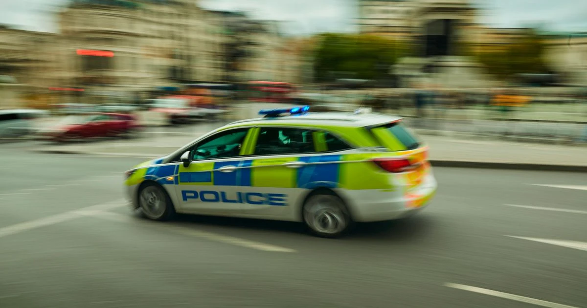 Camden stabbing: Restaurant owner rushed to save victim found in pool of broken glass