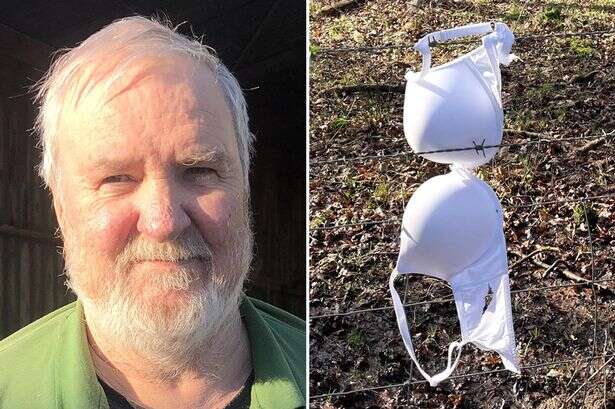 Women suspected of whipping off their bras and leaving them as a treat for farmer