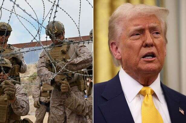 Cartels thriving despite Donald Trump labelling them all 'terror organisations'