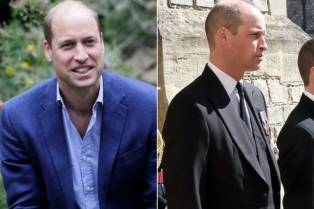 Prince William 'maturing into dominance' as he steps up to Alpha Male of Royal Family