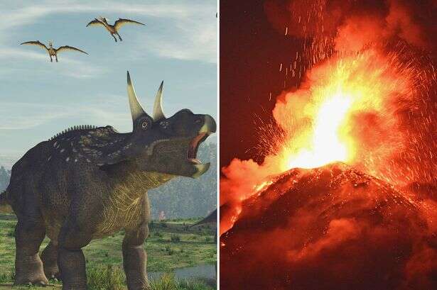 Earth's biggest extinction event didn't actually kill off everything, boffins discover