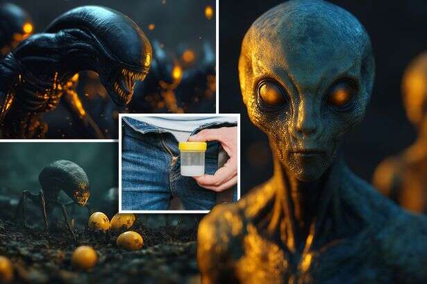 Aliens are 'abducting humans, stealing eggs and sperm and creating hybrid monsters'