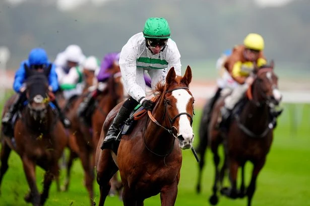 Mighty mare ready to star at Haydock – Jason Heavey reveals his top tips for Thursday