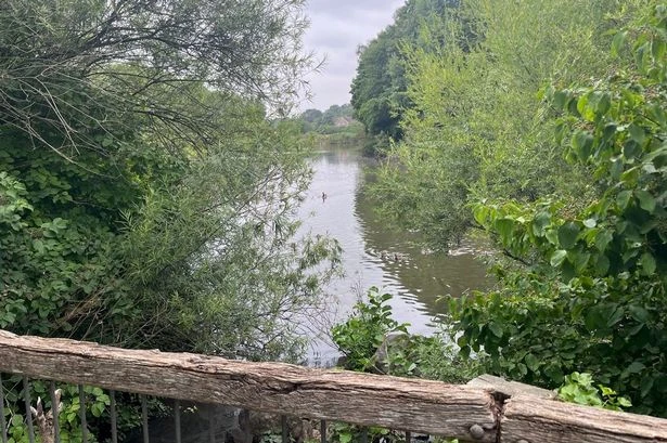 Inside village dubbed 'best place to live' where everything reeks of poo