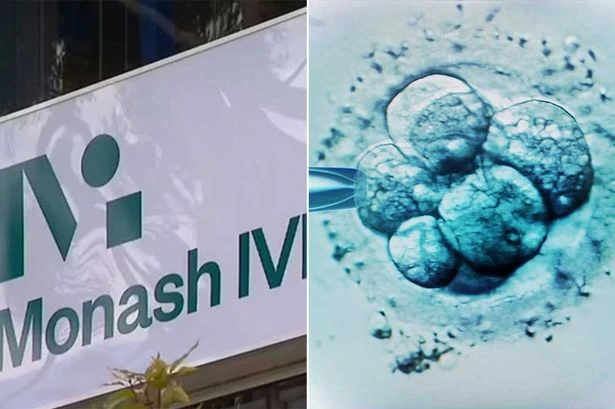 Woman gives birth to stranger's baby after horror IVF mix up
