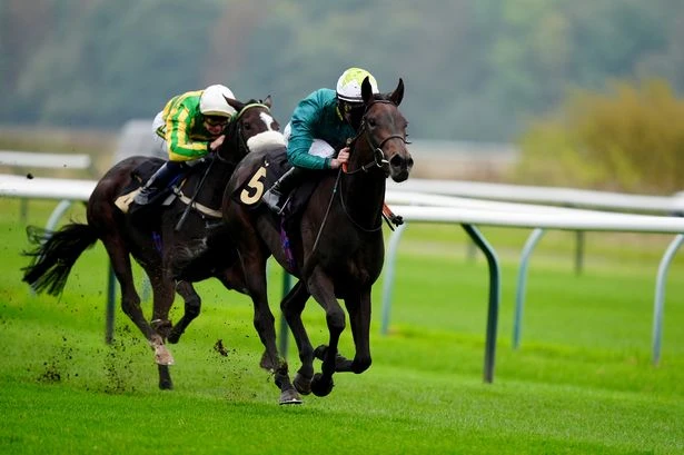 'She looks geared up to score on ground she will enjoy' - Jason Heavey's Friday tips