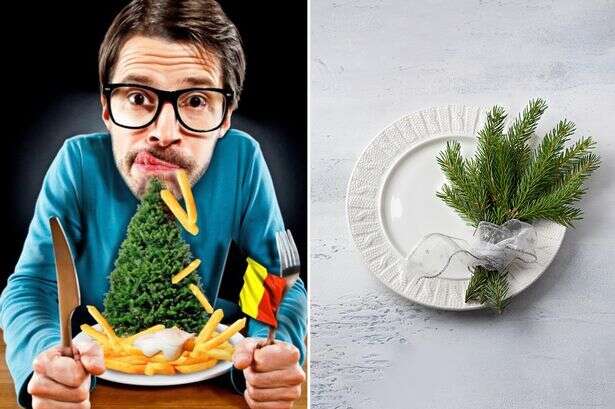 'Don't eat leftover Christmas trees – they could kill you,' boffins warn