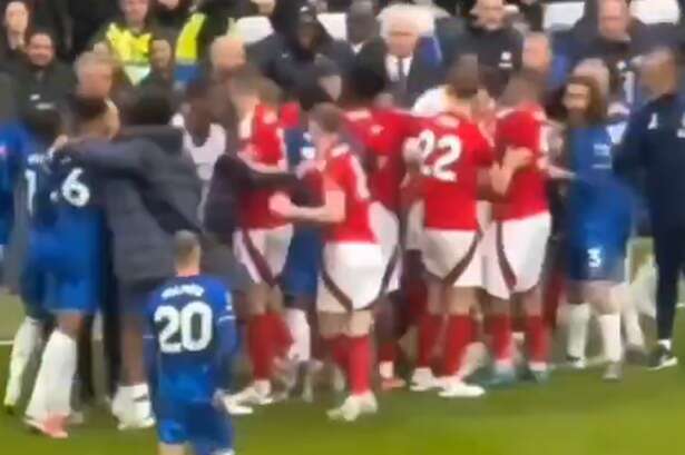 Cole Palmer's actions in Chelsea brawl have fans sure 'not a single thought in his head'